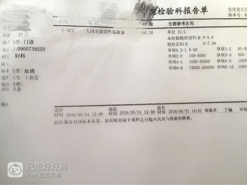 医院检测怀孕多少钱(去医院检查怀孕挂什么科）