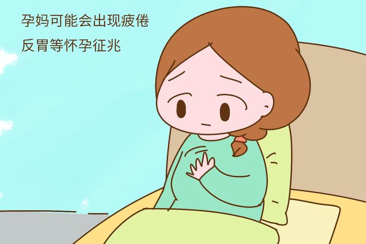 产后3个月内会怀孕吗(产后六个月怀孕怎么办）