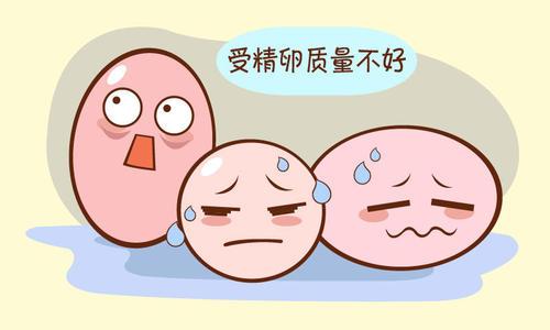 卵泡发育不好备孕行吗(卵泡发育不好能调理好吗）