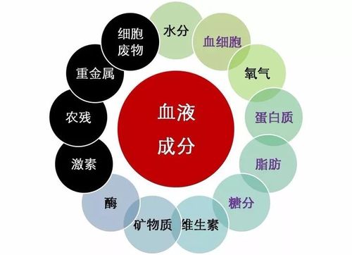 割皮手术多久可以同房(男生割皮治疗需要休息多久）