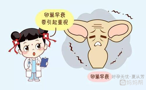 卵巢不排卵怎么办？怎么才能顺利怀孕呢？(卵巢早衰怎么调理）