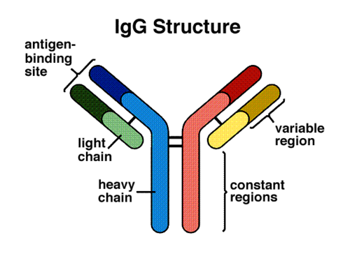 准备怀孕检查要多少钱(女性备孕检查需要多少钱）