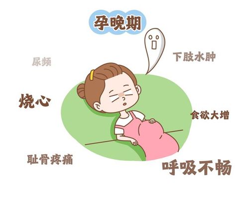 产后多久最容易怀孕(产后6个月怀孕能要吗）