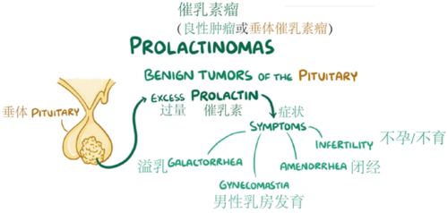 催乳素偏高备孕怎么回事(催乳素高可以备孕吗）