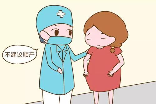 顺产7个月可以怀孕吗(顺产后六个月怀孕伤害）