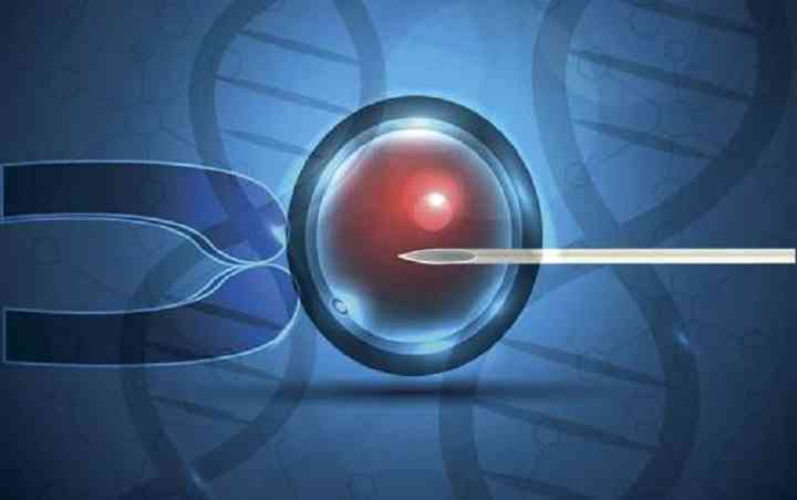 试管婴儿促排卵越多越好吗试管促排卵卵泡是不是越多越好试管婴儿促排卵越多越好吗试管过程中发现，许多患者总希望取到尽可能多的卵子，甚至在促排阶段相互攀比卵(试管促排会增加卵泡数量吗）