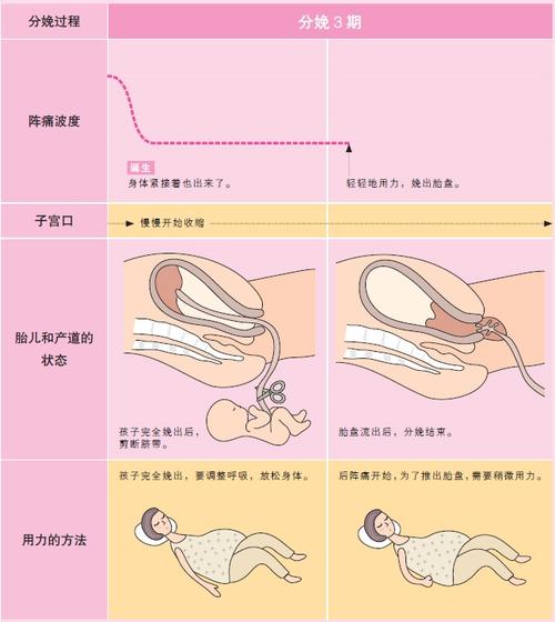 顺产避孕多长时间(顺产一般多长时间）