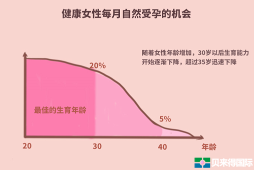 试管吃啥卵泡发育好(做试管婴儿要吃什么对卵泡好质量好)