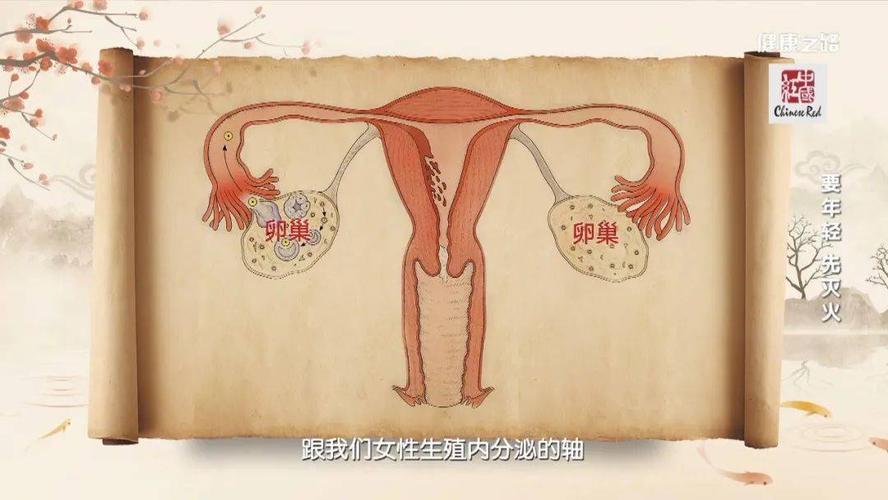 长期月经不调,我们应该做哪些检查?(20岁女生月经不调应该检查什么)