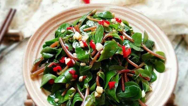 贫血的人可以吃马齿苋吗(血糖高可以吃马齿苋吗）