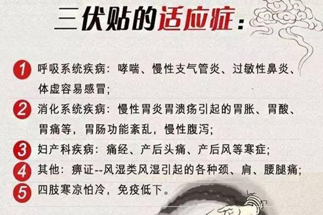 贴三伏贴能吃辣的吗(贴三伏贴能洗澡吗)