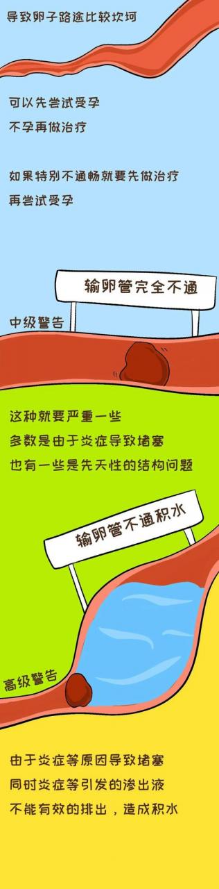 输卵管通水前能同房吗(输卵管上举图片位置示意图）