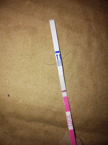 验孕是先出现下面那条吗(验孕试纸先出现哪条杠）