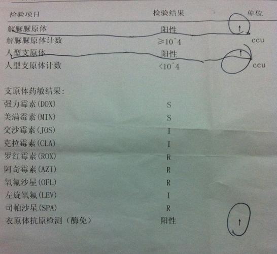 衣原体支原体不孕不育什么关系(女性有衣原体一般什么原因造成）