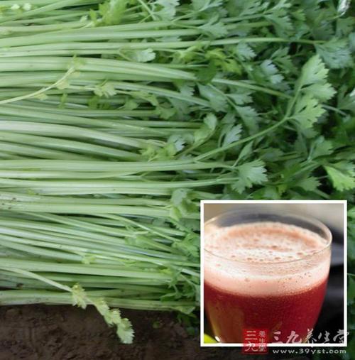 芹菜备孕高血压能吃吗(孕妇血压高吃芹菜能控制吗）