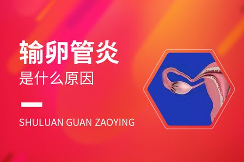 输卵管炎可以怀孕吗(输卵管炎症吃什么药好得快些）