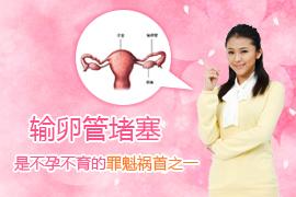 输卵管系膜囊肿会复发吗(输卵管囊肿能怀孩子吗）