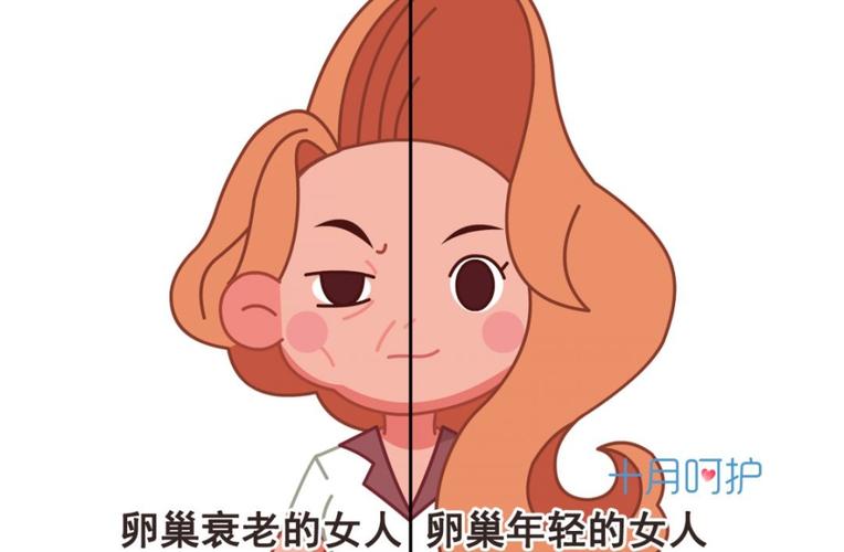 雌激素低会自动恢复吗(女人补雌激素的最好方法）