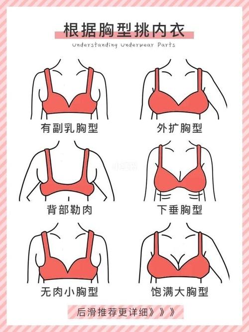 胸外扩是什么样子的(15岁胸型外扩是什么样子）