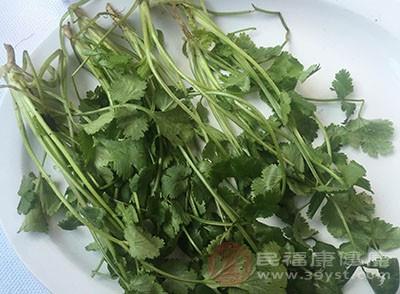 请问备孕可以吃柚子吗(备孕能吃香菜吗）