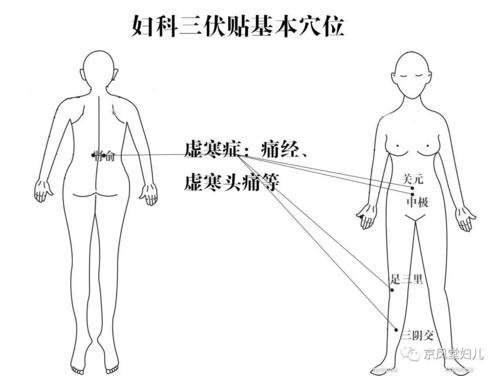 贴三伏贴能治肺气肿吗(三伏贴治妇科病吗）