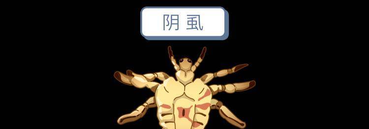 阴虱会乱爬吗阴虱真的会爬遍全身吗?(阴虱会爬到孩子身上吗)