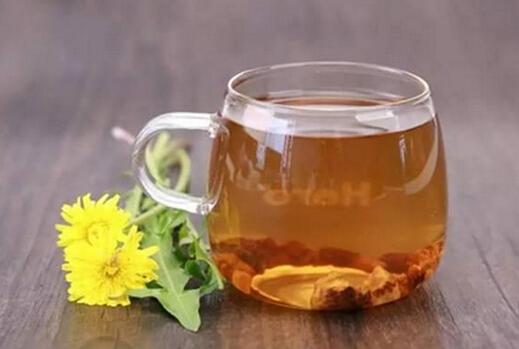 蒲公英茶备孕可以喝吗(备孕期间可以喝蒲公英根茶吗）