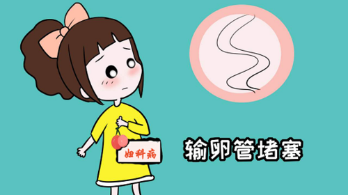 输卵管炎会自己好吗(输卵管上举图片位置示意图）