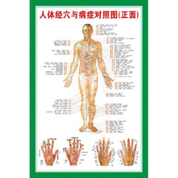                                                                                 艾灸各穴位,每个人都可以使用