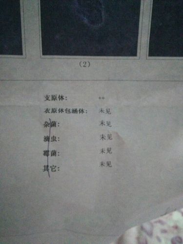 衣原体阳性可以怀孕吗(衣原体感染不想活了）