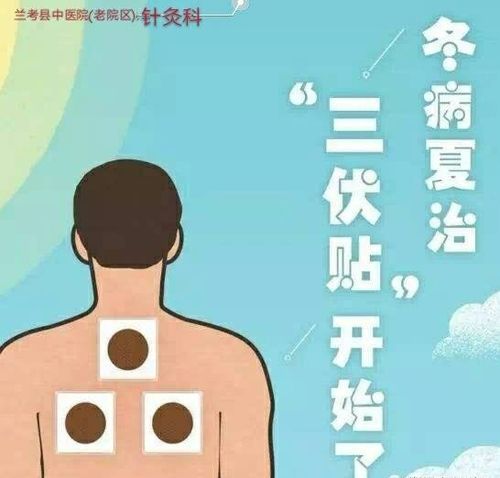 贴三伏贴可以吃冬瓜吗(贴三伏贴可以吃什么食物）