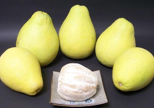 请问备孕可以吃柚子吗(备孕能吃香菜吗）