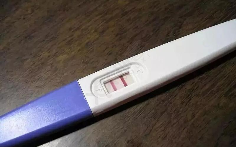 饿的特别快是怀孕了吗(自己测试怀孕的小方法）