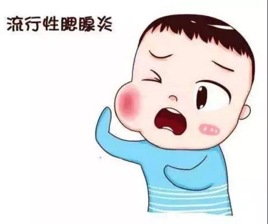 腮腺炎影响女性生育能力吗(得腮腺炎会影响生育吗）