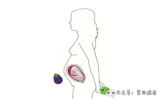 胎儿停搏的明显症状是什么?(胎儿心跳停止孕妇有什么症状)