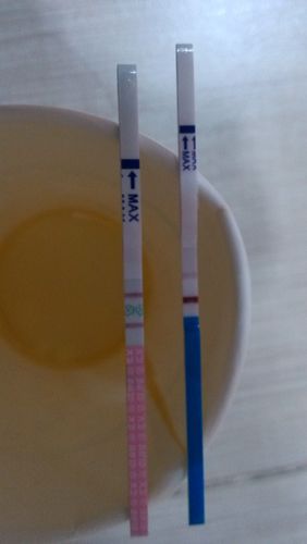 试纸怎么看是怀孕了(没有怀孕验孕棒图片)