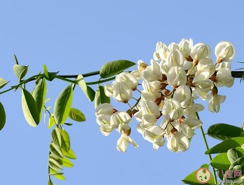 闭经怎么吃调经促孕丸(月经推迟可以吃调经促孕丸吗)