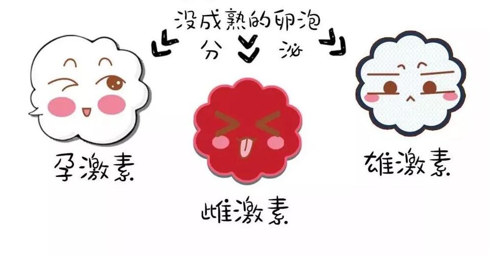 雌激素低吃豆腐好吗(突然雌激素低可以治好吗）