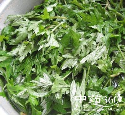 用艾草泡脚有助于睡眠么