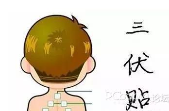 贴三伏贴能喝白酒吗(生病能贴三伏贴吗）