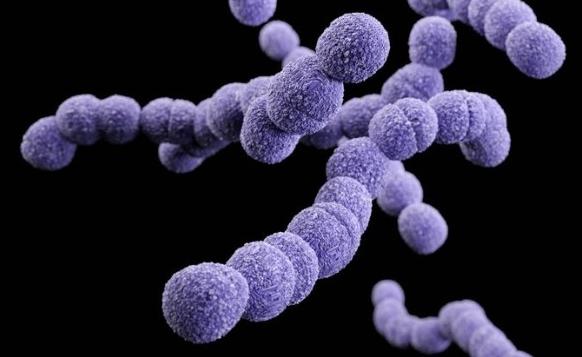 链球菌感染可以怀孕吗(孕妇有b族链球菌的症状）