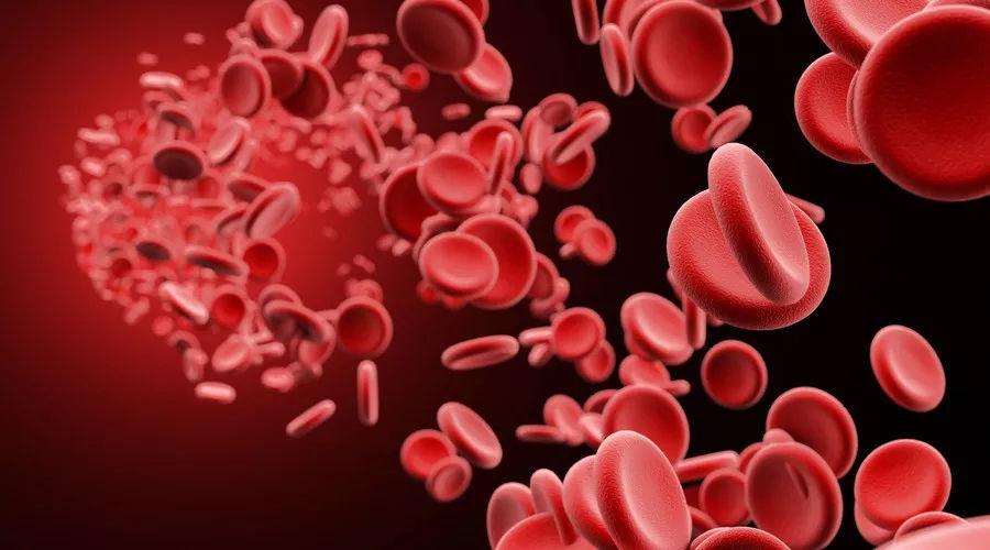 贫血的人可以做运动吗(贫血影响跑步吗）