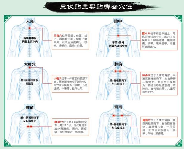 贴三伏贴可以吃龙眼果吗(三伏贴贴在什么位置）