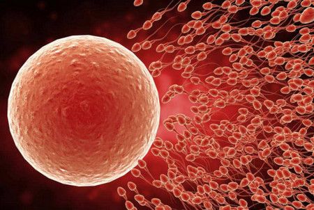 试管婴儿取卵雌激素多少正常(试管雌激素与卵泡质量）