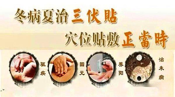 贴三伏贴可以喝蜂蜜柠檬水吗(贴三伏贴可以治疗鼻炎吗)