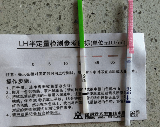 试纸放8小时会变两条杠吗(试纸放几个小时为啥变两道）