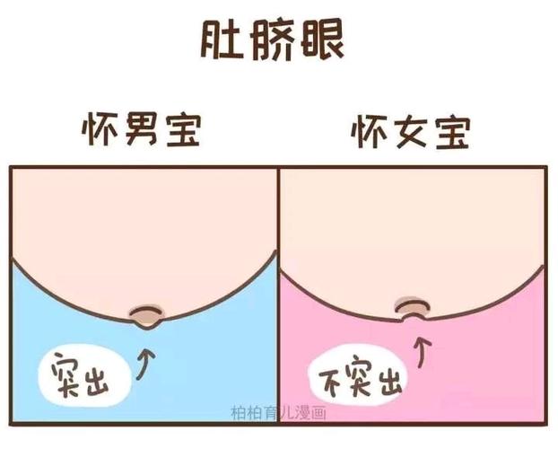 怀孕肚脐歪右边生男生女