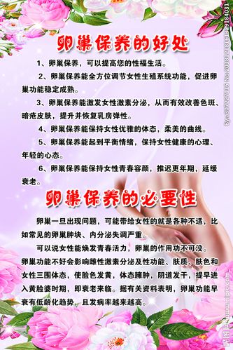 美容院的卵巢保养有用吗(美容院卵巢保养猫腻）