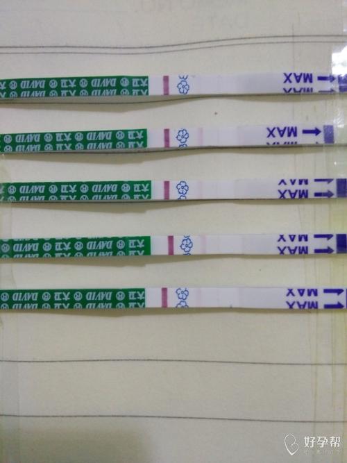 连续两天用试纸弱阳什么意思(排卵试纸7天都是弱阳）