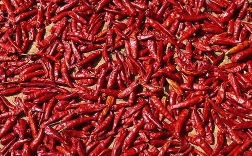 贫血的人可以吃辣椒吗(辣椒吃多了容易贫血）